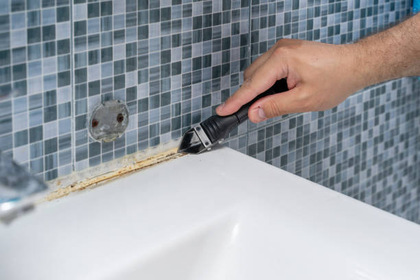 Carl Junction, MO Mold Removal Company